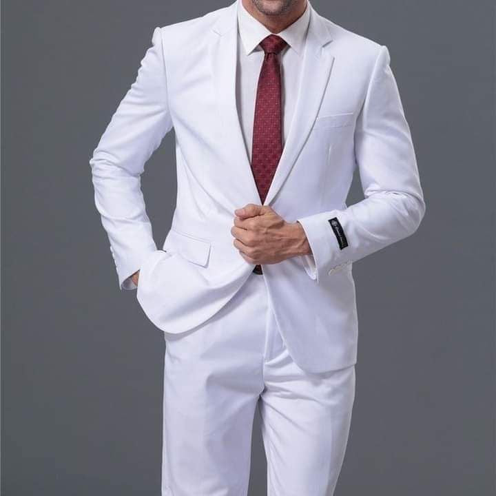 COSTUME 2 PIÈCES HAUT DE GAMME